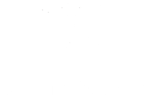 BraunPower®